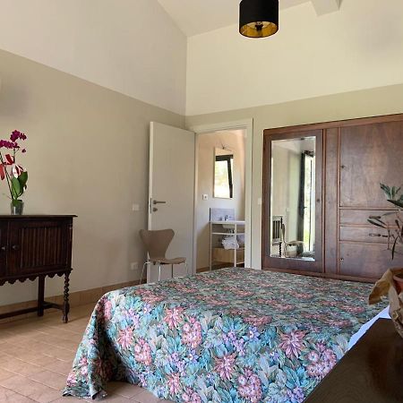 Agriturismo Ss Annunziata 산빈첸초 외부 사진