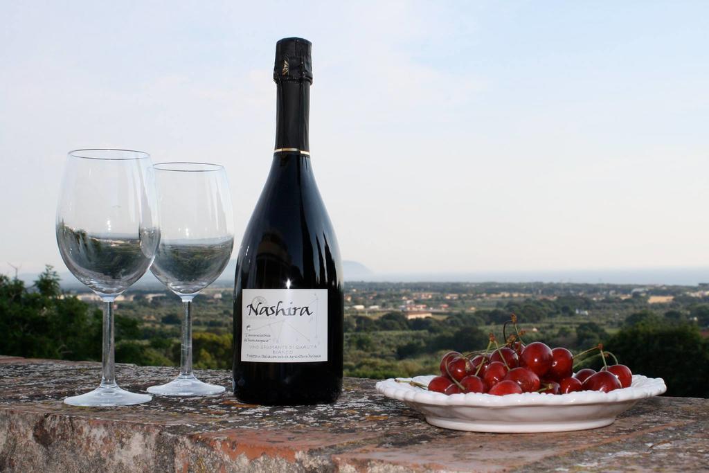 Agriturismo Ss Annunziata 산빈첸초 외부 사진