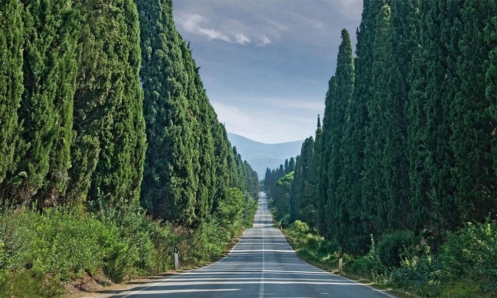 Agriturismo Ss Annunziata 산빈첸초 외부 사진