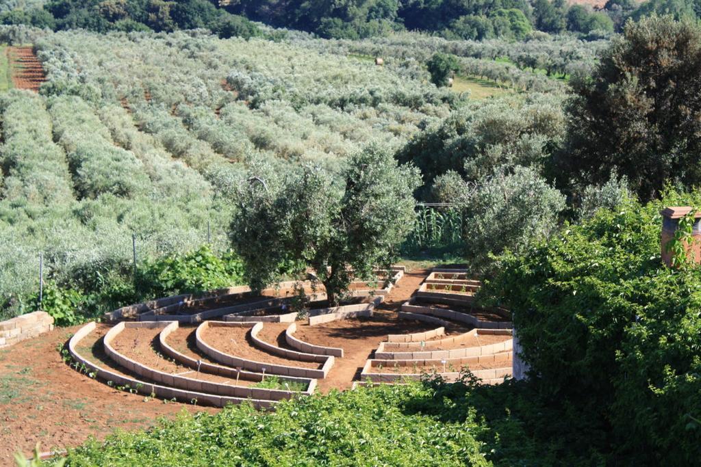 Agriturismo Ss Annunziata 산빈첸초 외부 사진